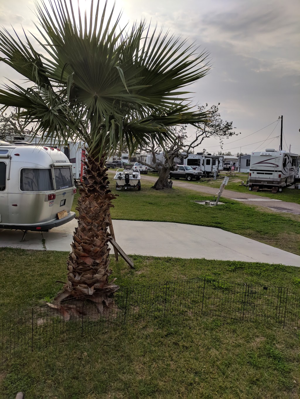Ancient Oaks RV Park | 1222 Business Hwy 35 S, Rockport, TX 78382, USA | Phone: (800) 962-6134