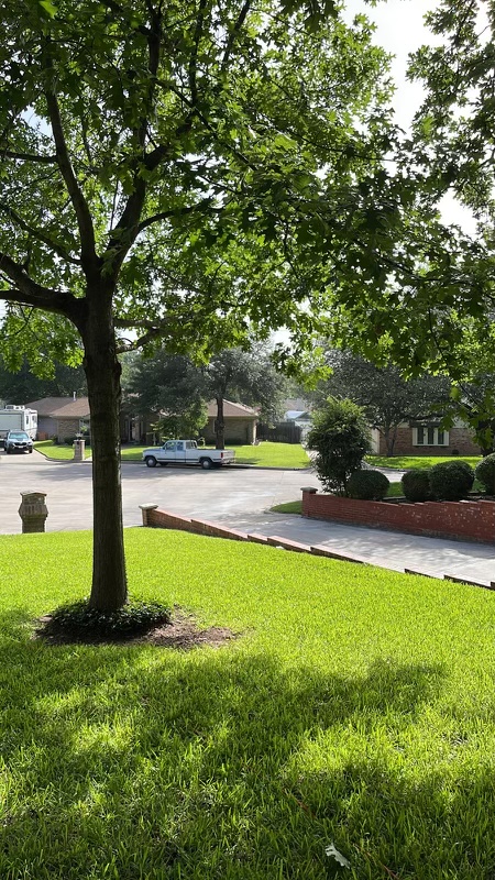 Lawn & Tree service Juan Ramirez | 2716 Halbert St, Fort Worth, TX 76112 | Phone: (817) 968-8365