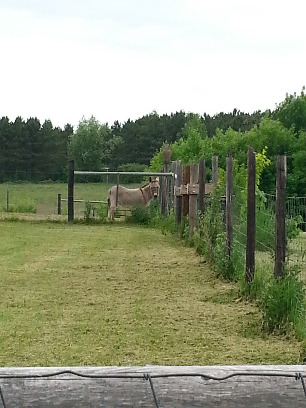 St. Peter Lutheran Church | 880 Neal Ave S, Afton, MN 55001, USA | Phone: (651) 436-3357