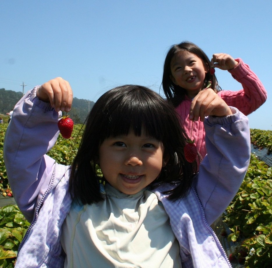 Terra Mandarin Preschool | 70 Lomita Dr, Mill Valley, CA 94941, USA | Phone: (415) 906-2220