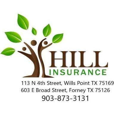Hill Insurance Agency LP | 113 N 4th St, Wills Point, TX 75169, USA | Phone: (903) 873-3131