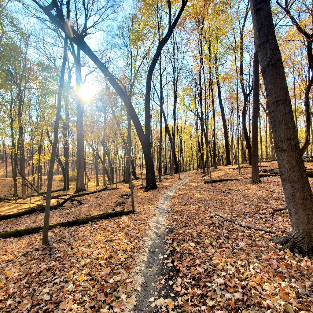 Carver Park Reserve | 55386, 7400 Grimm Rd, Waconia, MN 55387, USA | Phone: (763) 694-7650