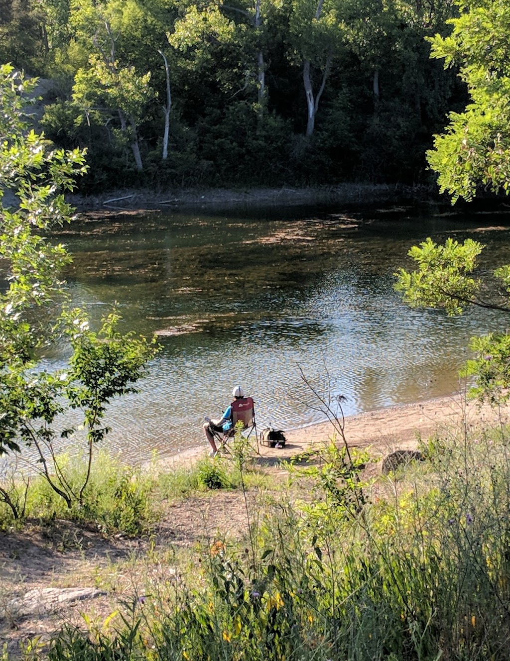 Tillman Road Wildlife Management Area | 9988 Wehrle Dr, Clarence, NY 14031, USA | Phone: (716) 372-0645