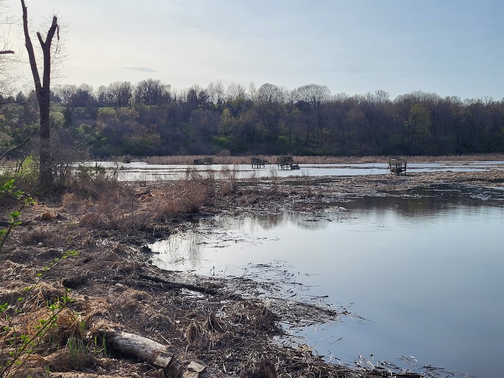 Vosburgh Swamp Wildlife Management Area | 4 Mile Point Rd, Coxsackie, NY 12051, USA | Phone: (845) 473-4440