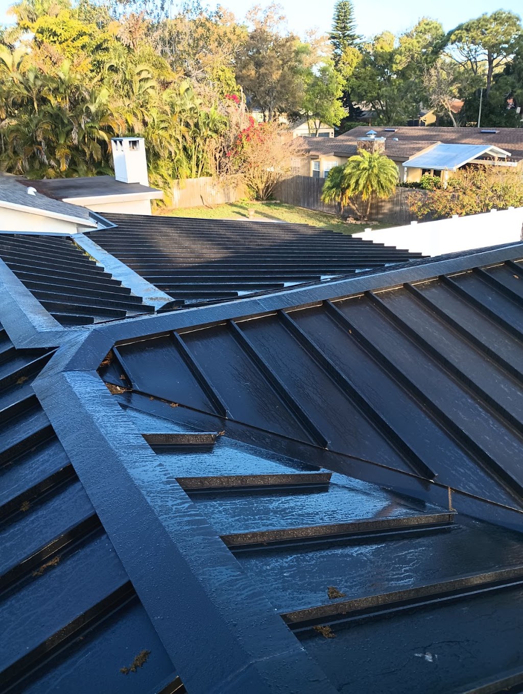 IBEX Roofing Inc. | 4770 94th St N, St. Petersburg, FL 33708, USA | Phone: (727) 498-8437