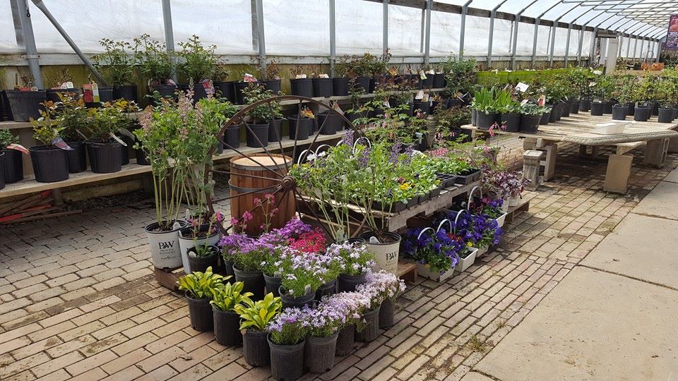 DeHoff Flowers, Greenhouse & Landscaping | 3517 Beechwood Ave, Alliance, OH 44601, USA | Phone: (330) 823-1455