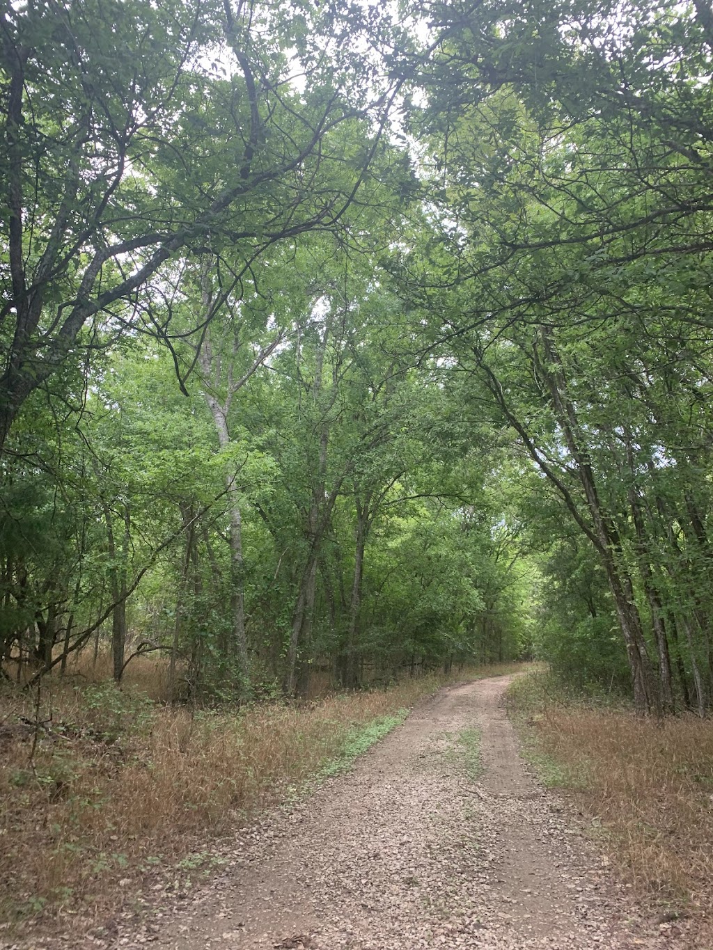 McKinney Falls State Park | 5808 McKinney Falls Pkwy, Austin, TX 78744, USA | Phone: (512) 243-2177