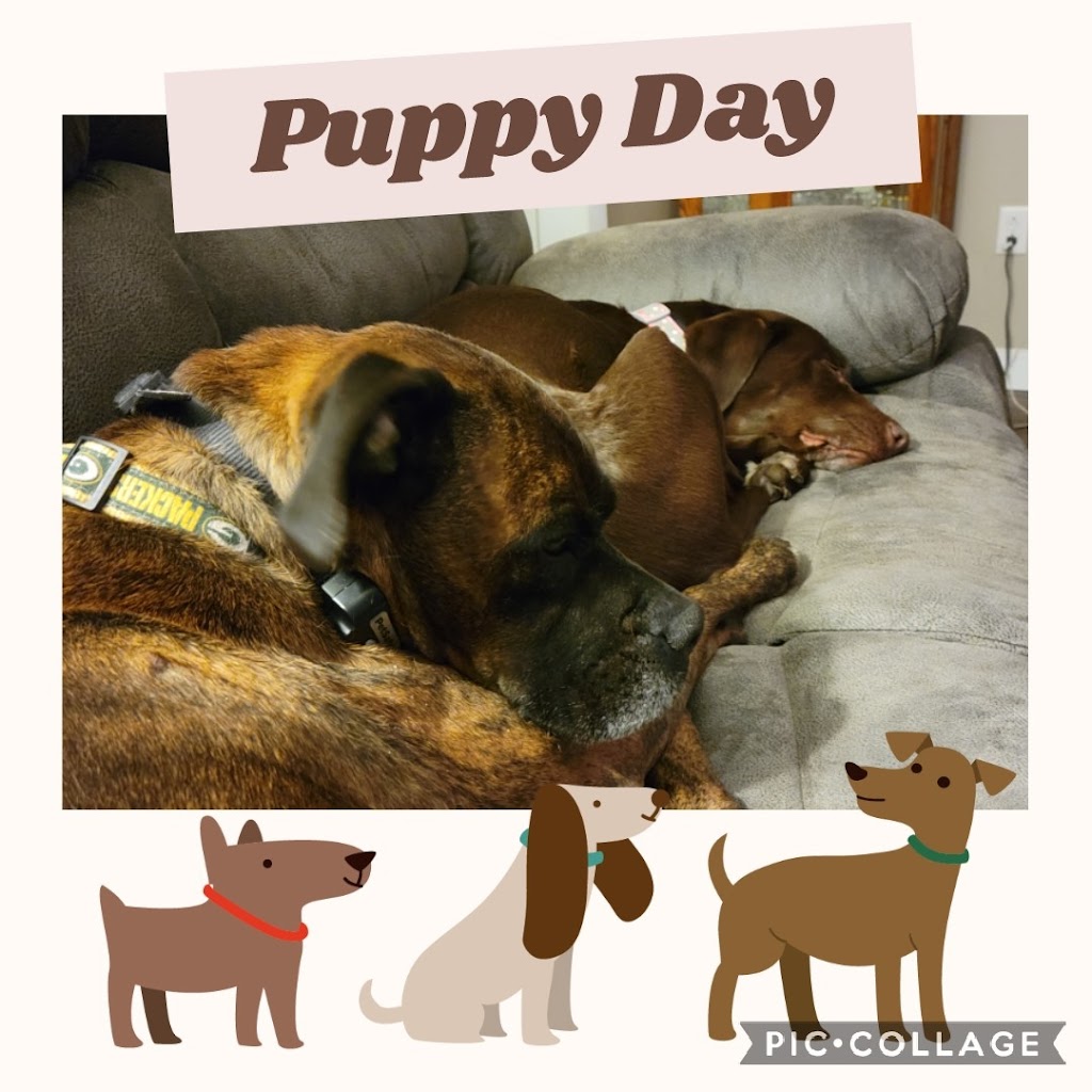 Mollys Creations | 202 W Beloit St, Orfordville, WI 53576, USA | Phone: (608) 558-0515 Mollys Creations | 202 W Beloit St, Orfordville, WI 53576, USA | Phone: (608) 558-0515