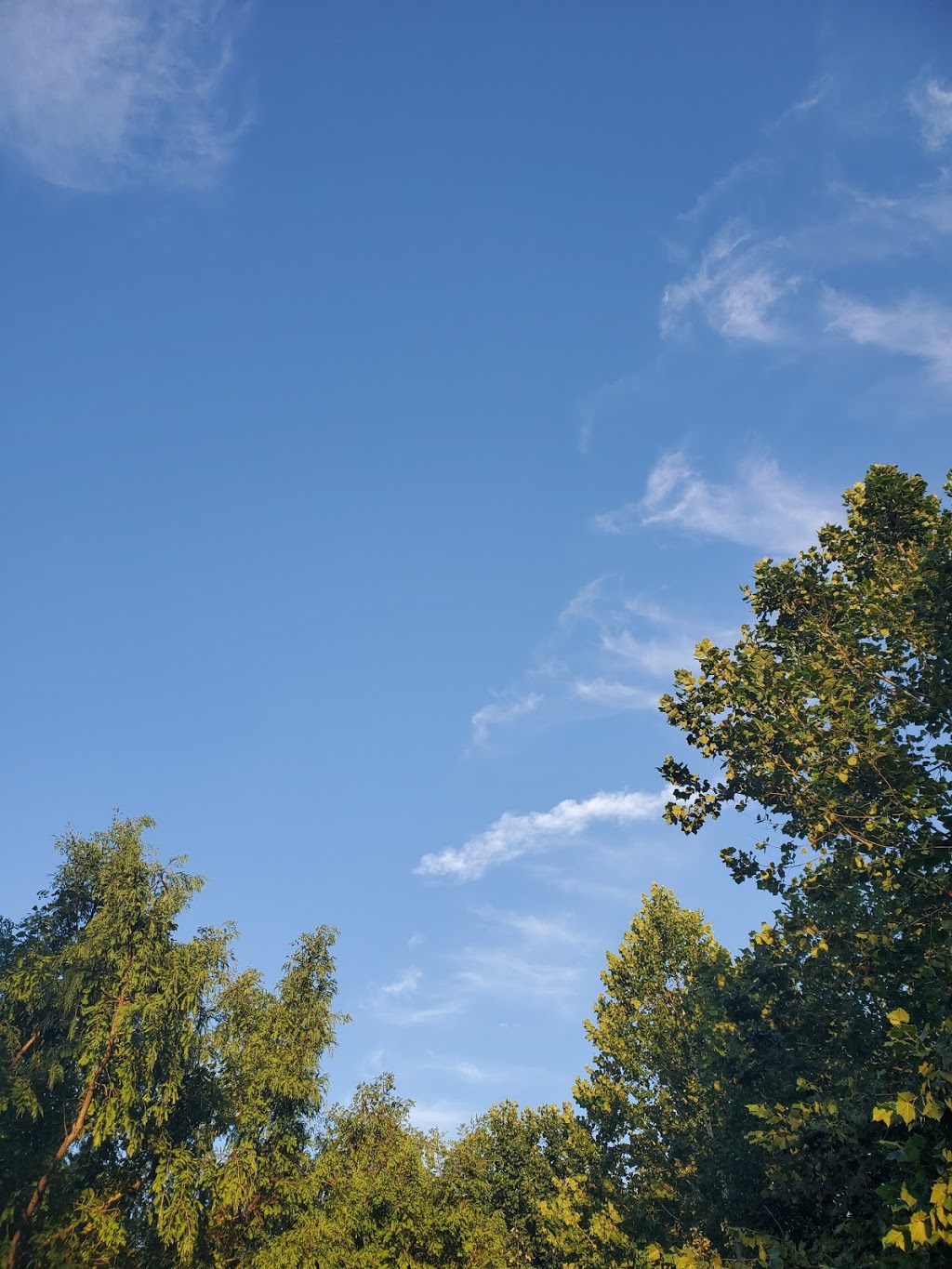 Northwestway Park | 5253 W 62nd St, Indianapolis, IN 46268, USA | Phone: (317) 327-7193