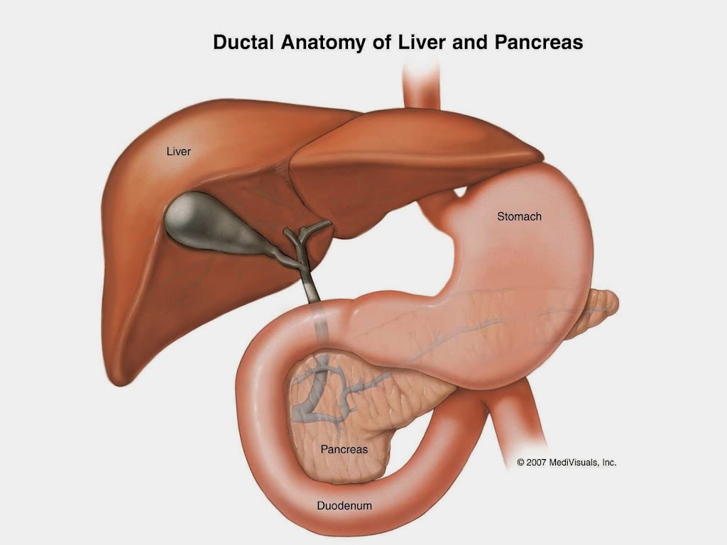 AZ TRANSPLANT ASSOCIATES | 2218 N 3rd St Ac, Phoenix, AZ 85004, USA | Phone: (602) 252-2543
