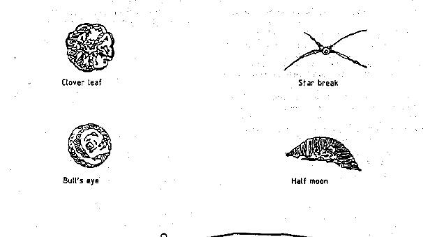 CND Windshield Chip Repair | 1100 N Monroe St, Monroe, MI 48162, USA | Phone: (734) 497-3191