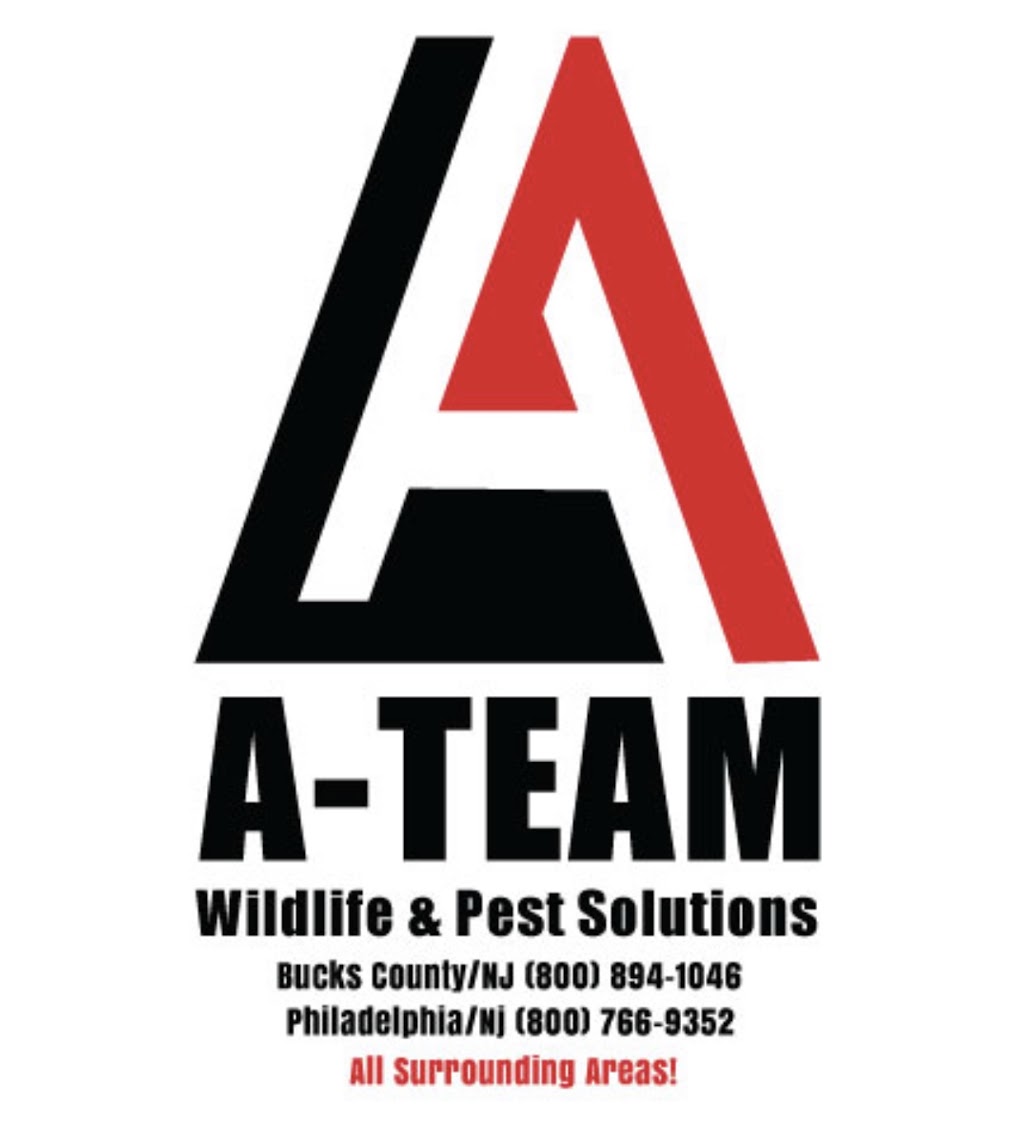 A-Team Wildlife & Pest Solutions | 154 W Hendrickson Ave, Morrisville, PA 19067, USA | Phone: (800) 894-1046