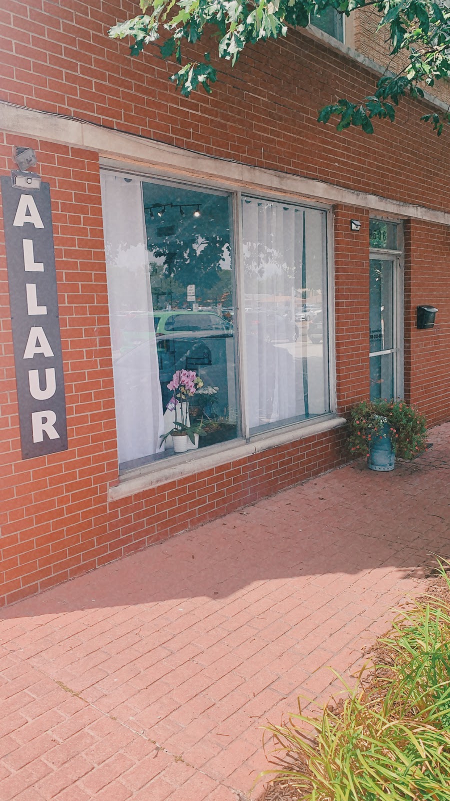 Allaur | 9506 S California Ave, Evergreen Park, IL 60805, USA | Phone: (708) 292-8883