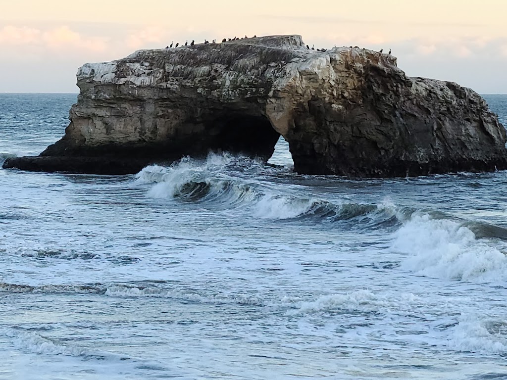 Natural Bridges Tidepools | Santa Cruz, CA 95060, USA | Phone: (831) 423-4609