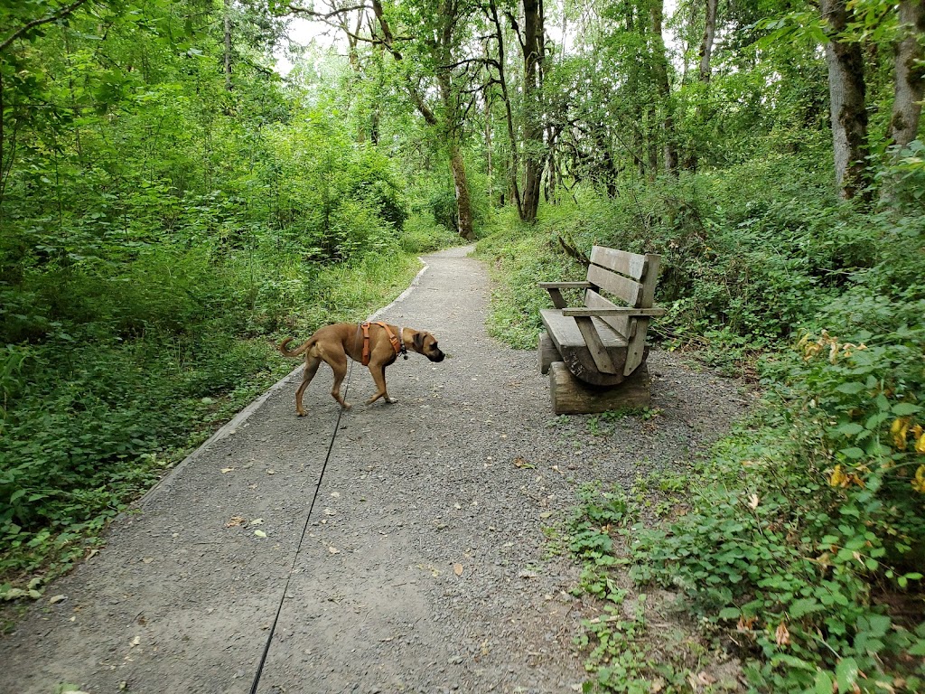 Lowami Hart Woods Natural Area | 14895 SW Hart Rd, Beaverton, OR 97007, USA | Phone: (503) 645-6433