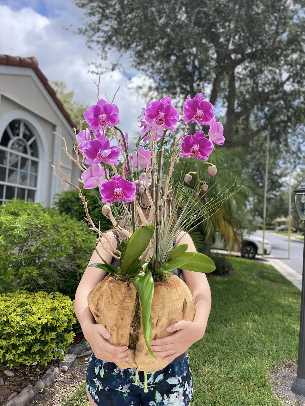 Viva Orchids of Boca Raton | 23369 Torre Cir, Boca Raton, FL 33433, USA | Phone: (561) 507-0073