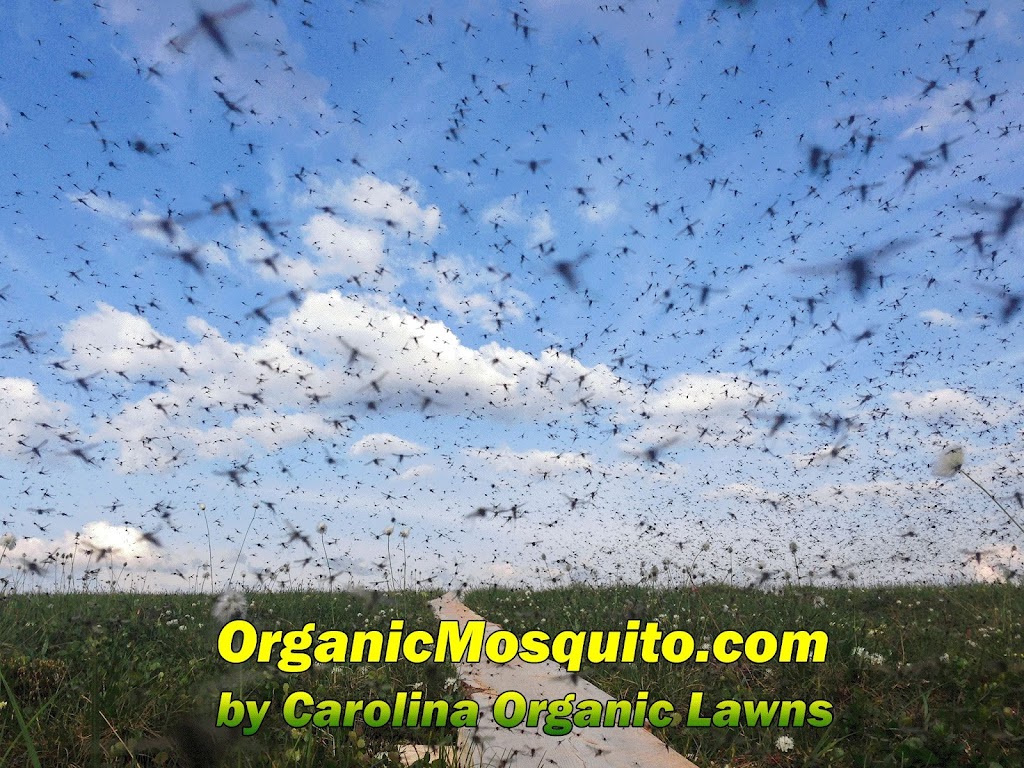 Organic Mosquito Services | 1457 Kelly Rd STE 124, Apex, NC 27502, USA | Phone: (919) 371-8857