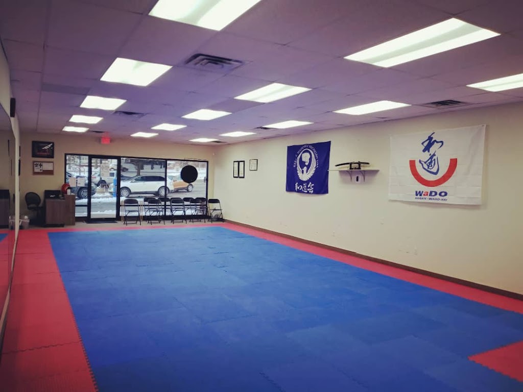 Karate Wado Kai Michigan | 45021 W Pontiac Trail, Novi, MI 48377, USA | Phone: (248) 722-9015