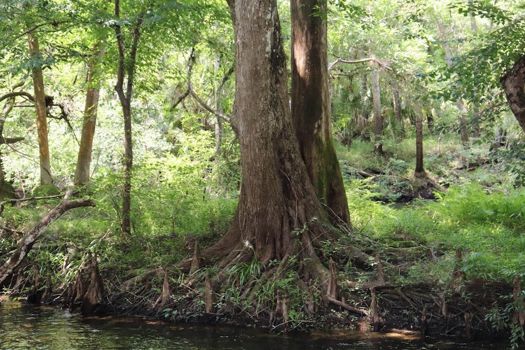 Hillsborough River State Park Campground | Thonotosassa, FL 33592, USA | Phone: (813) 987-6771