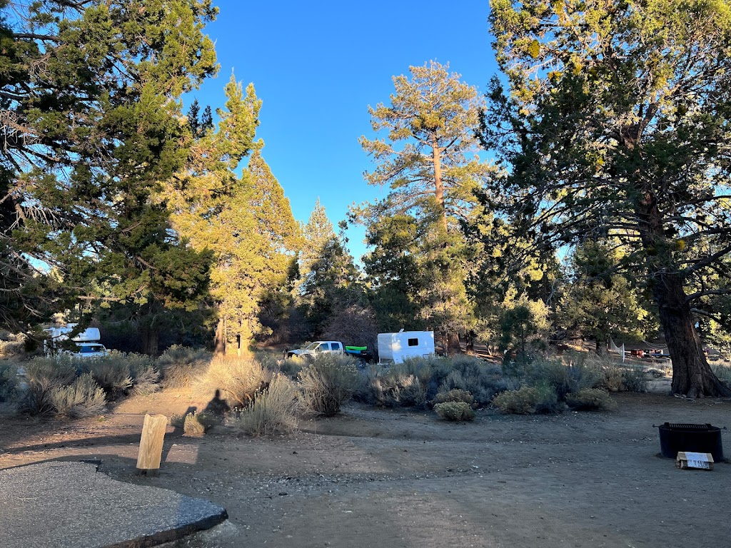 Serrano Campground | 40650 N Shore Dr, Fawnskin, CA 92333, USA | Phone: (909) 866-8550