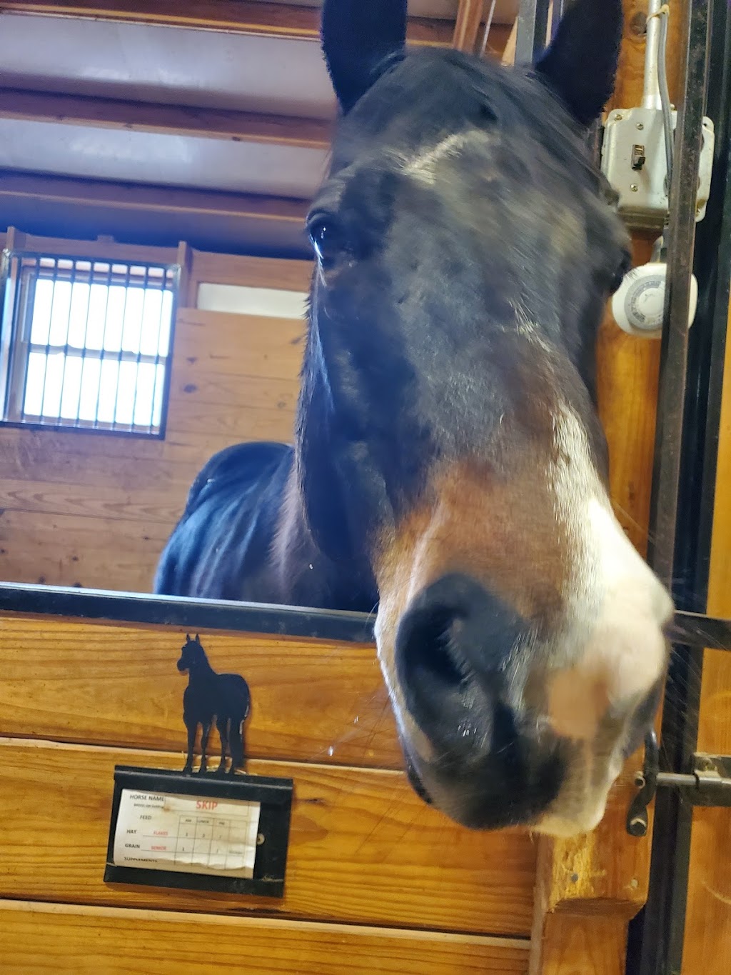 Silver Spurs Equestrian Center | 357 State Hwy EE, Winfield, MO 63389, USA | Phone: (636) 668-8683 Silver Spurs Equestrian Center | 357 State Hwy EE, Winfield, MO 63389, USA | Phone: (636) 668-8683