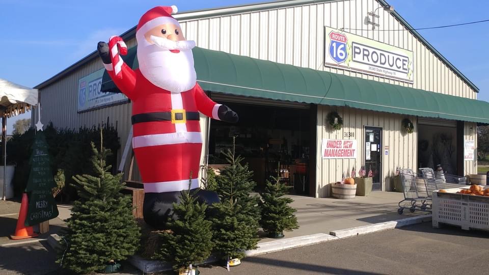 Route 16 Produce + Christmas Tree | 36340 CA-16, Woodland, CA 95695, USA | Phone: (530) 618-5300