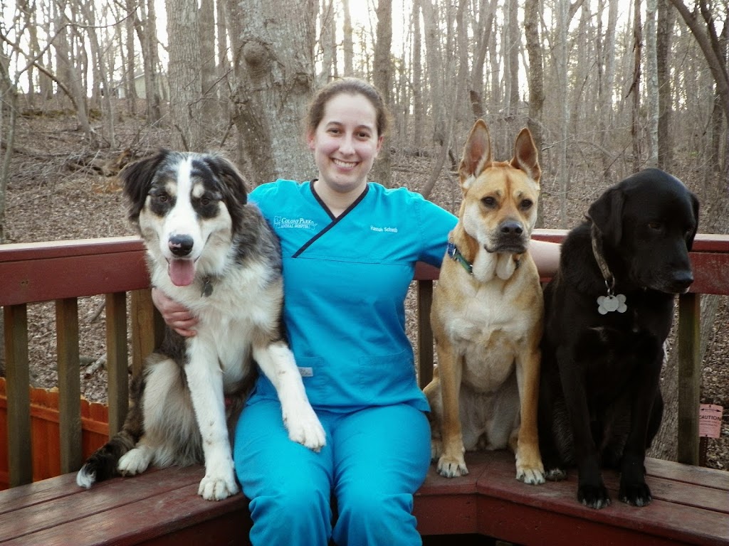 Colony Park Animal Hospital | 3102 Sandy Creek Dr, Durham, NC 27705, USA | Phone: (919) 424-0508