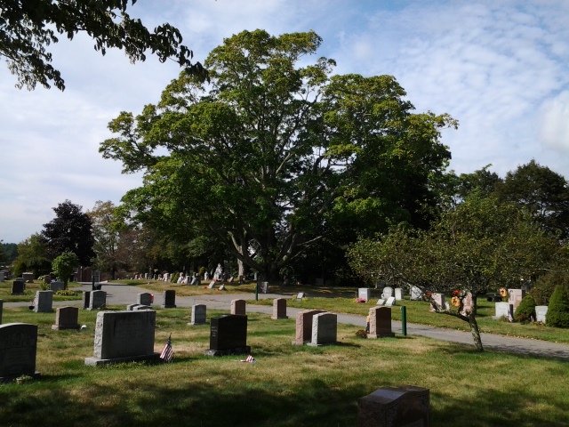 Central Cemetery | 170 Central St, East Bridgewater, MA 02333, USA | Phone: (508) 817-7138