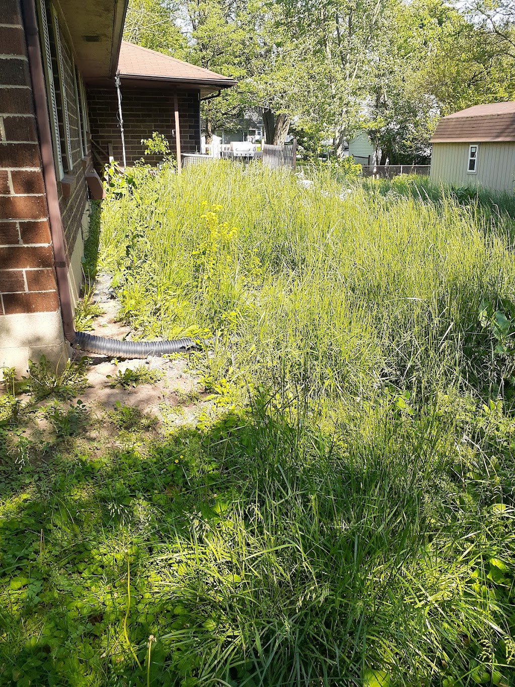 Johnnys Lawncare Services LLC | 389 Longview Bend, Brownsburg, IN 46112, USA | Phone: (937) 272-3367