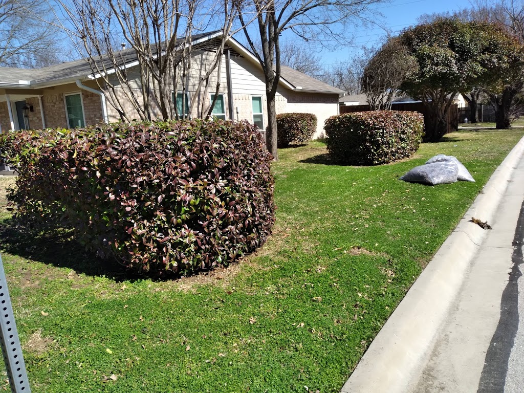 MEZA LAWN CARE SERVICES | 821 Rosewood Hills Dr, Garland, TX 75040, USA | Phone: (469) 346-1409