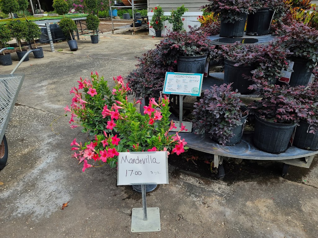 Nursery Landscape & Garden Center | 5955 Florida Ave S, Lakeland, FL 33813, USA | Phone: (863) 644-7331