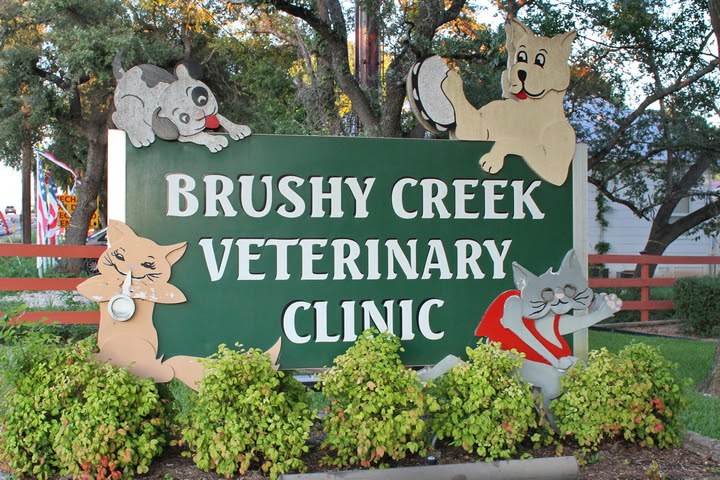 Brushy Creek Veterinary Clinic | 15405 N FM 620, Austin, TX 78717, USA | Phone: (512) 255-9725