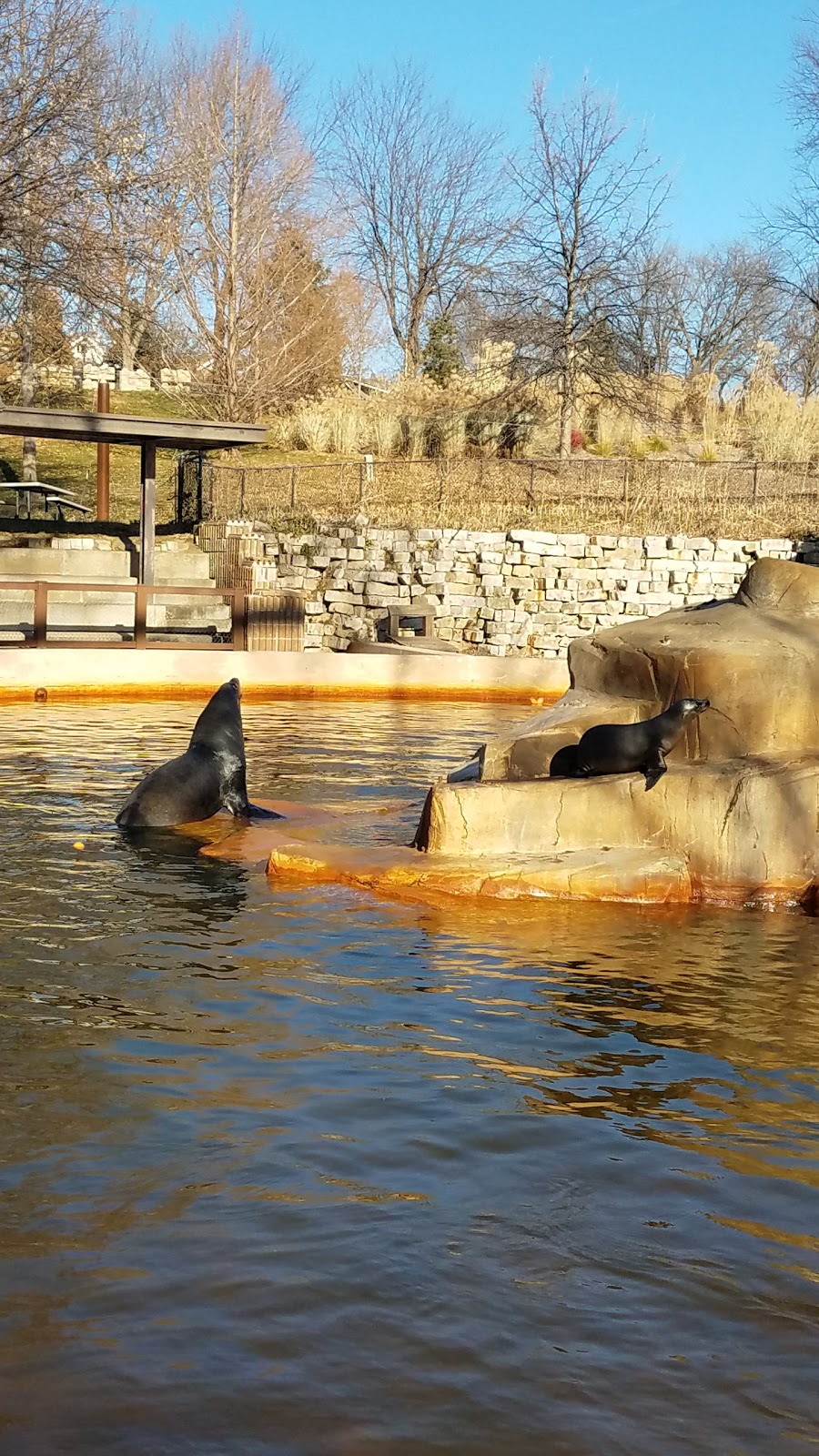 Owen Sea Lion Pavilion | 3701 S 10th St, Omaha, NE 68107, USA | Phone: (402) 733-8401