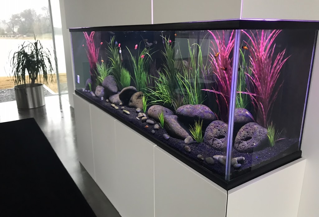 Aquarium Headquarters Maintenance, Service & Luxury Aquarium Installation Co. | 1671 Riverview Dr, The Colony, TX 75056, USA | Phone: (972) 786-3350