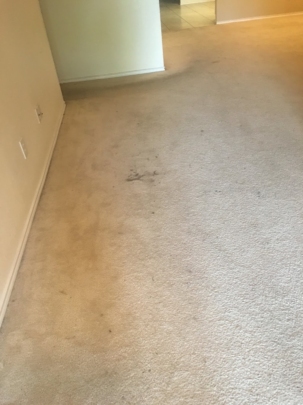 Xtreme Steam Carpet Cleaning | 2113 Peacock Ln, Corinth, TX 76210, USA | Phone: (940) 580-9191