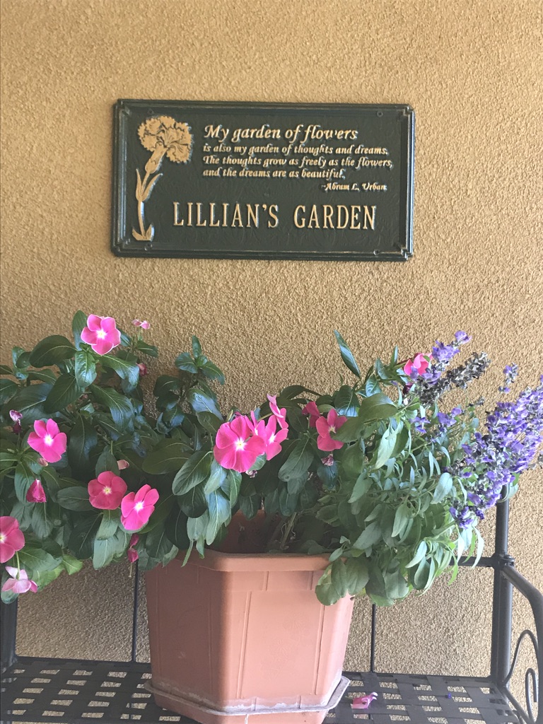 Ravenna Assisted Living | 3051 Twin Oaks Dr NW, Albuquerque, NM 87120, USA | Phone: (505) 831-4141