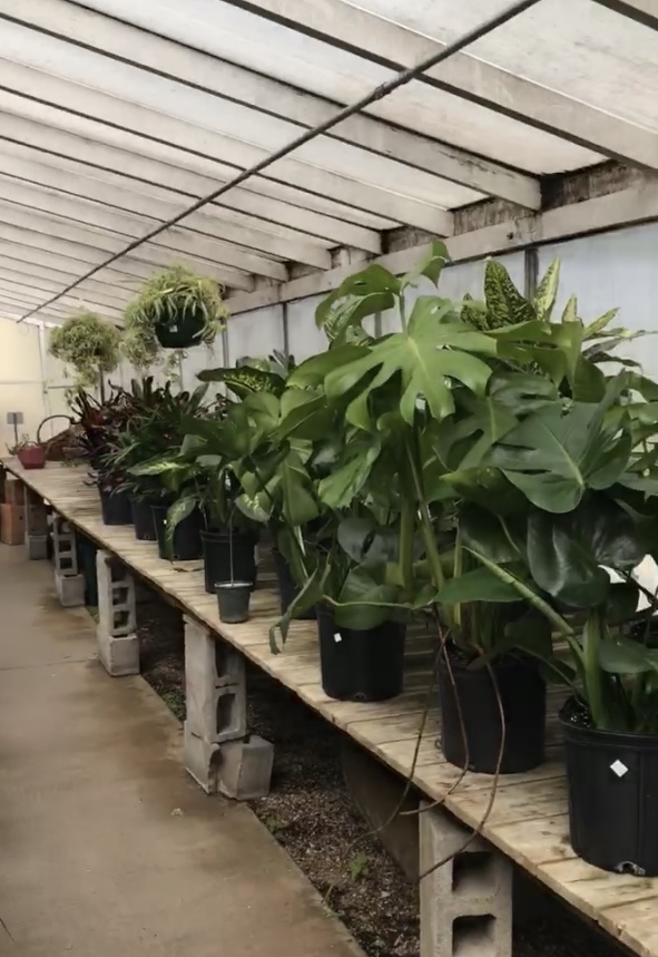 Bayside Garden Center | 400 E Brown Deer Rd, Bayside, WI 53217, USA | Phone: (414) 352-6159