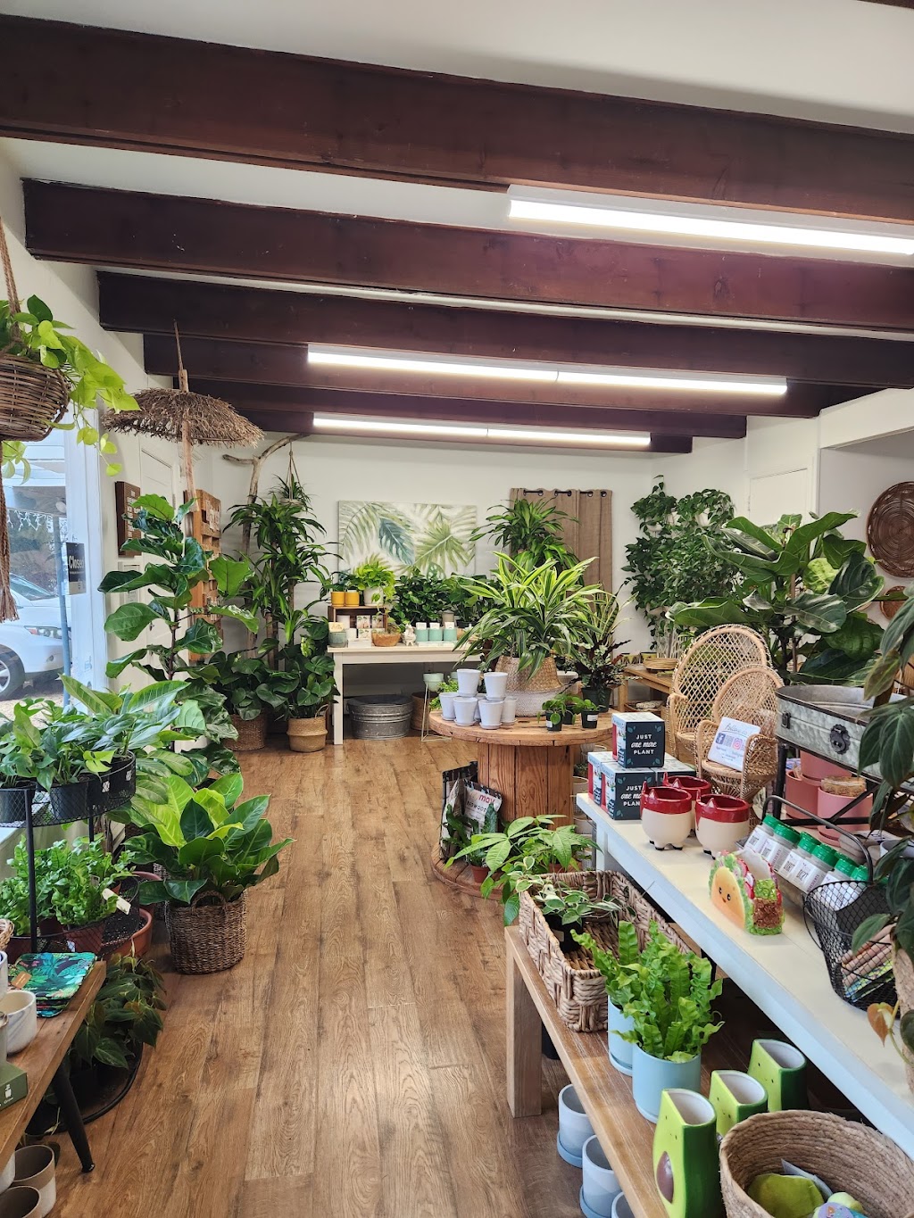 Tiny Greenhouse | 287 Princeton Ave, Brick Township, NJ 08724, USA | Phone: (732) 298-7261