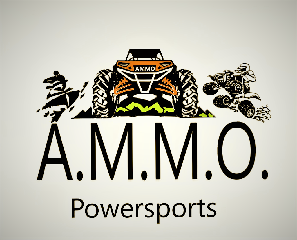 AMMO Powersports | 112 Herring Rd, Princeton, NC 27569, USA | Phone: (919) 909-1415