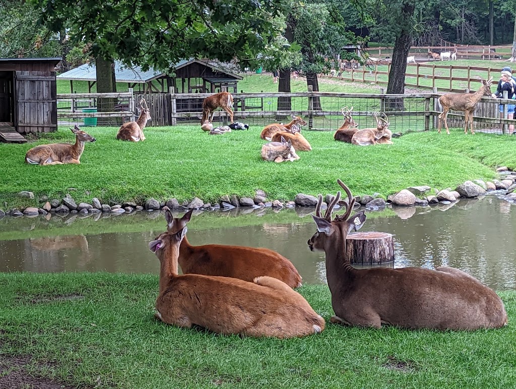 FAWN-DOE-ROSA Wildlife Educational Park | 2131 US-8, St Croix Falls, WI 54024, USA | Phone: (715) 483-3772