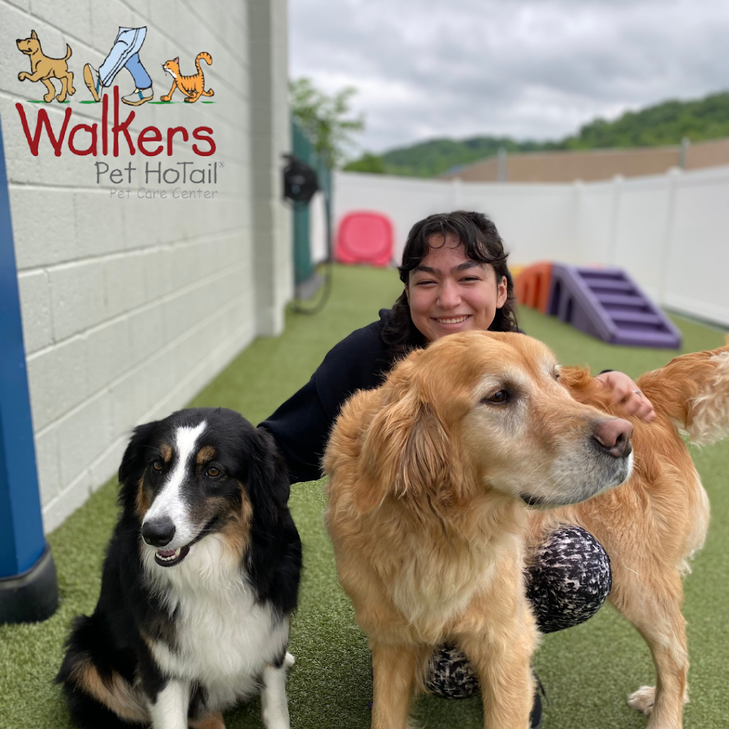 Walkers Pet HoTail Pet Care Center | 4603 William Penn Hwy, Murrysville, PA 15668, USA | Phone: (724) 327-7297