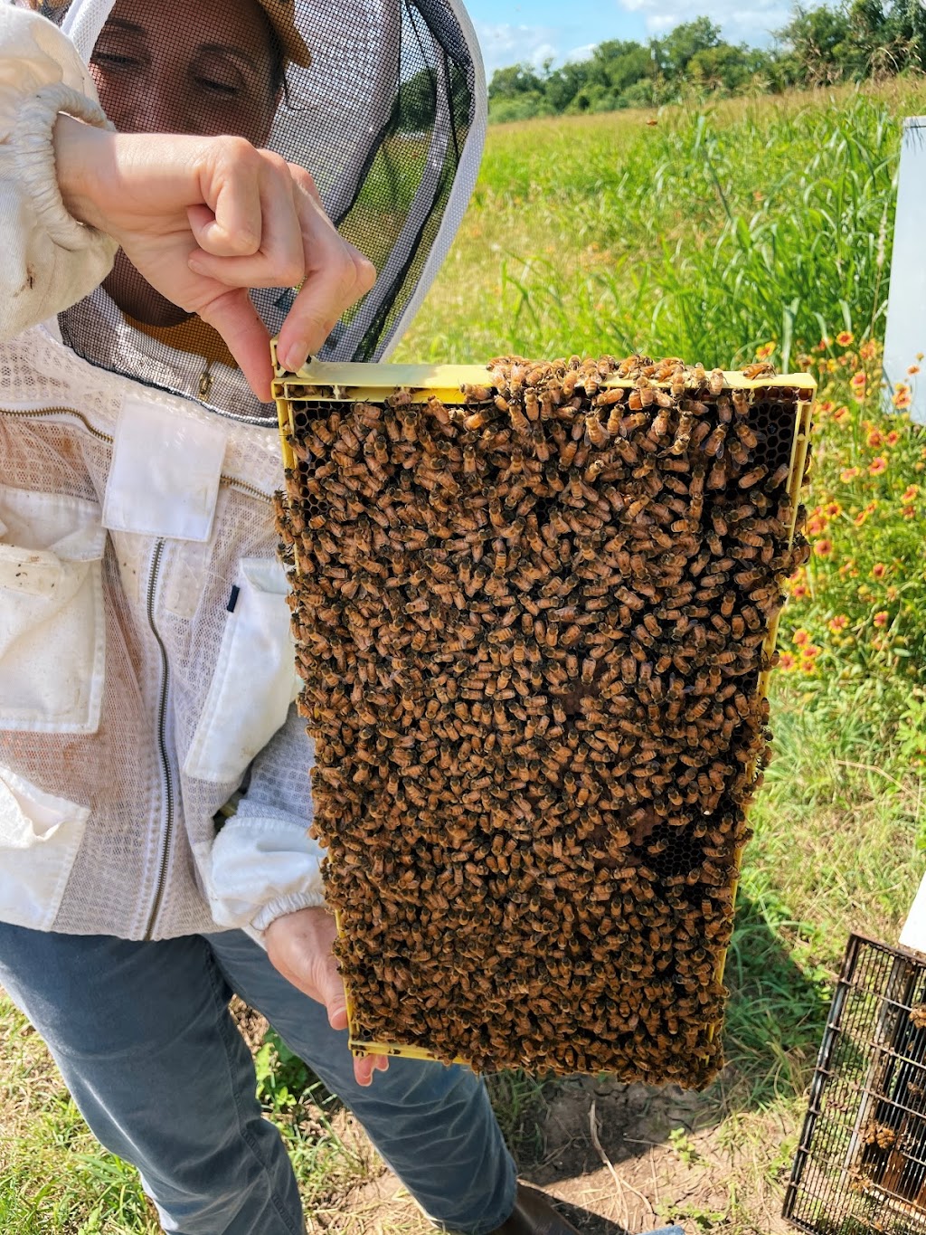 The Beeswax Department at Gretchen Bee Ranch | 2745 W Kingsbury St, Seguin, TX 78155, USA | Phone: (830) 463-9161