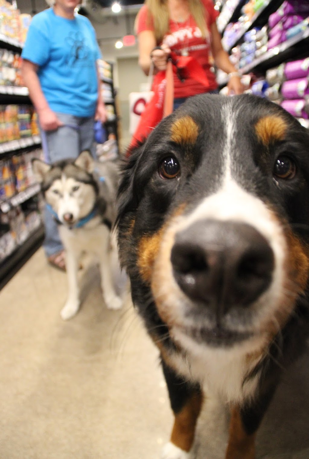 Chuck & Dons Pet Food & Supplies | 3249 S Service Dr, Red Wing, MN 55066, USA | Phone: (651) 385-9111