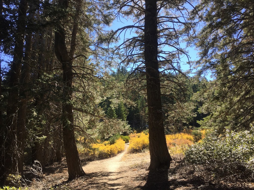 Fuller Ridge Trailhead | PCT Segment BF, Whitewater, CA 92282, USA | Phone: (909) 382-2921