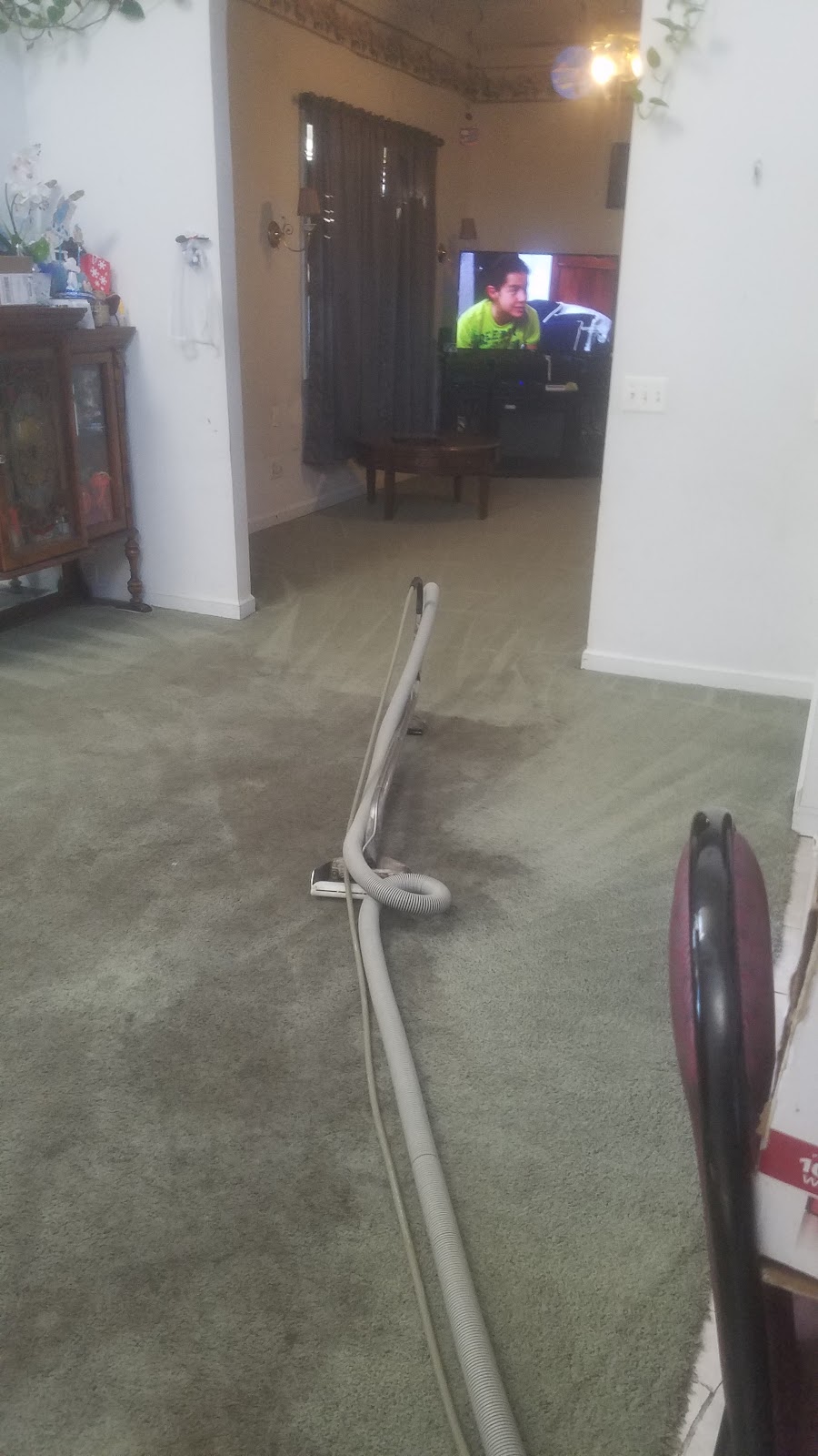 A Nu-Life Carpet Sales and Cleaning | 204 Channel Dr, Point Pleasant Beach, NJ 08742, USA | Phone: (732) 892-4848