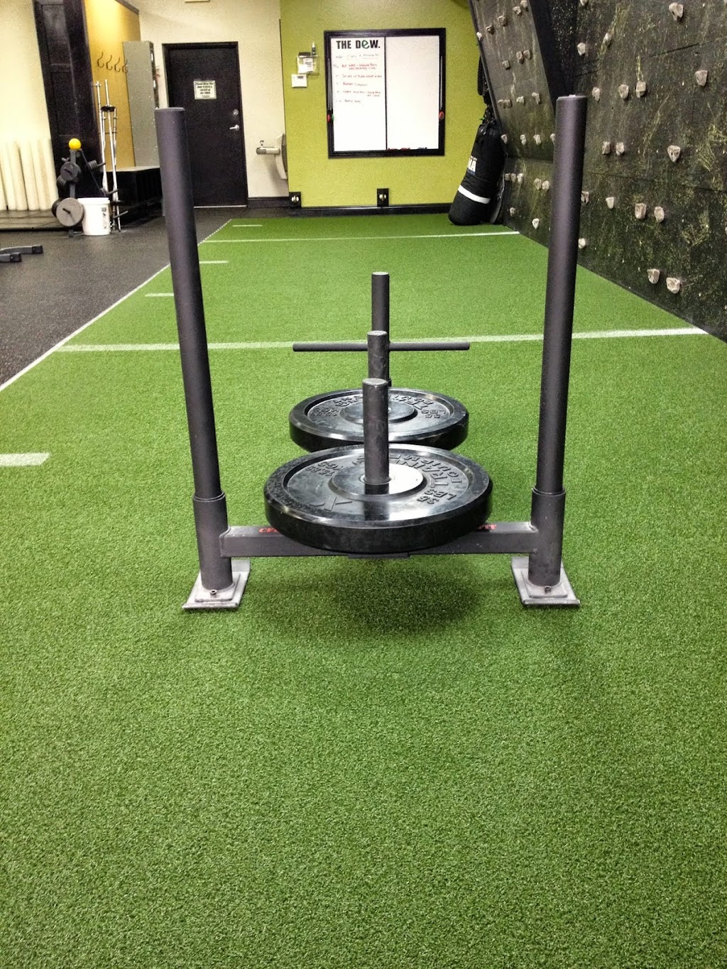 Evolution Dynamic Fitness | 4387 Lynx Paw Trail, Valrico, FL 33596, USA | Phone: (813) 833-8368