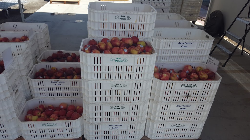 Friesen Family Farms Fruit Stand | 15496 E Saginaw Ave, Kingsburg, CA 93631, USA | Phone: (559) 859-0842