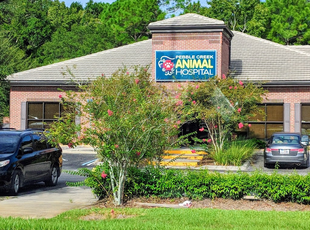 Pebble Creek Animal Hospital | 19440 Bruce B Downs Blvd, Tampa, FL 33647, USA | Phone: (813) 973-8566