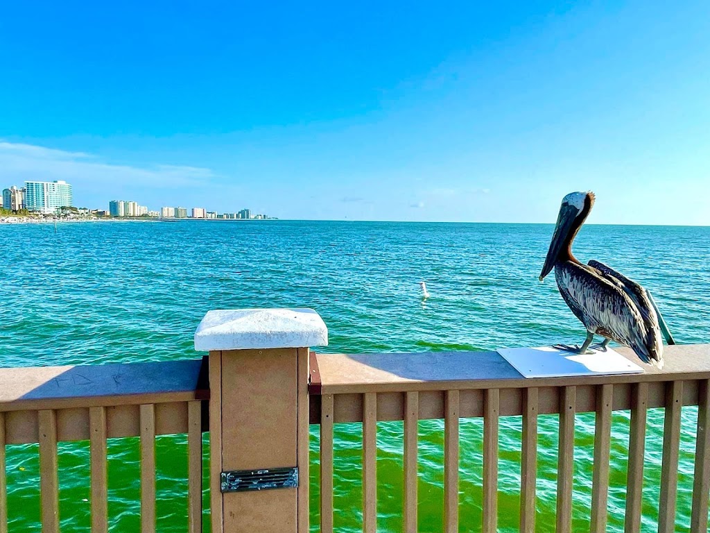 Edge Hotel | Ground Level, 505 S Gulfview Blvd, Clearwater, FL 33767, USA | Phone: (727) 281-3100