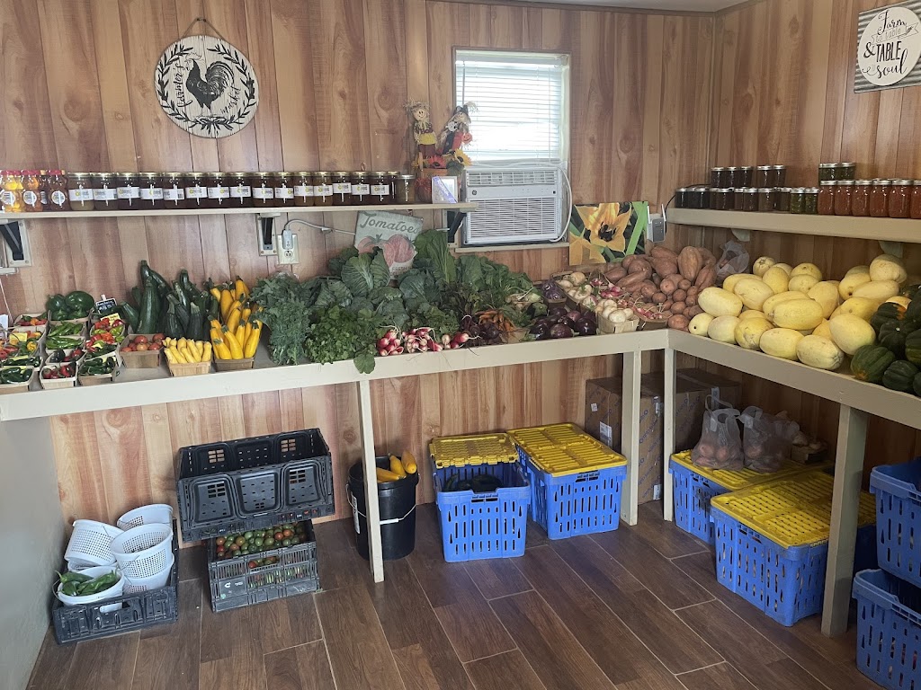 Demases Farm | 496 Co Rd 4756, Boyd, TX 76023, USA | Phone: (940) 577-0203